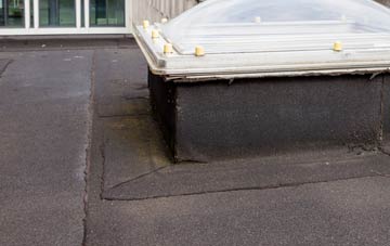 disadvantages of Skiprigg flat roofs