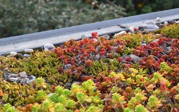 the cost of Skiprigg green roof installation
