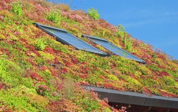 Skiprigg living roof systems