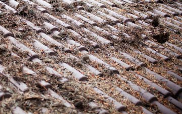 Skiprigg roof cleaning companies