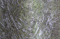 Skiprigg fibreglass roof work