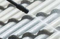 rated Skiprigg roof cleaning companies